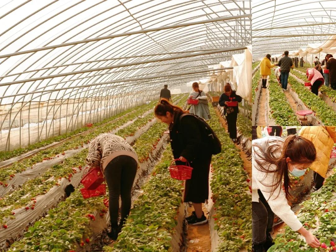 微信圖片_20210621171935