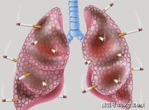 58058d276f254b8daa86b04af5177031